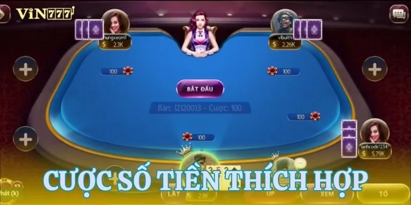 Mẹo đặt cược hợp lý trong khi chơi bài 